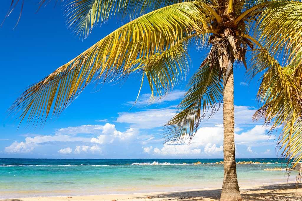 Melia Braco Village Trelawny Natuur foto